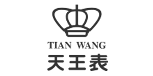 天王电子（深圳）有限...