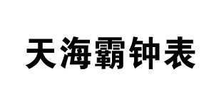 深圳市天海霸钟表有限...